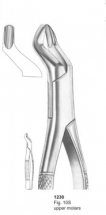 Fig. 10S upper molars 